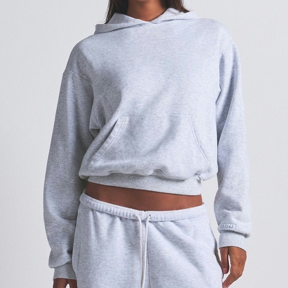 SKIMS Tops - Skims Cotton Fleece Classic Hoodie Light Heather Grey Small NWI